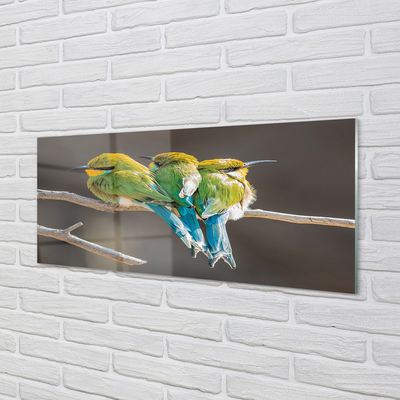 Tableaux sur verre acrylique Les oiseaux sur une branche
