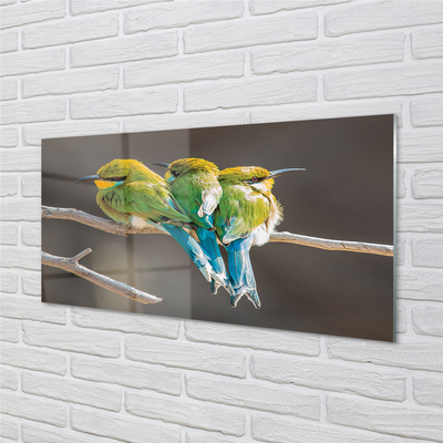 Tableaux sur verre acrylique Les oiseaux sur une branche