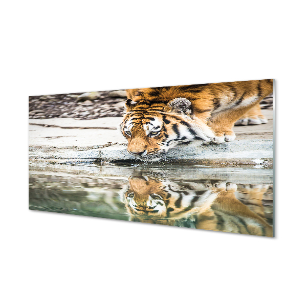 Tableaux sur verre acrylique Boisson tigre