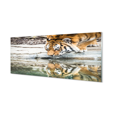 Tableaux sur verre acrylique Boisson tigre