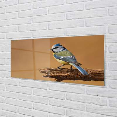 Tableaux sur verre acrylique Oiseau