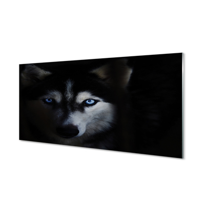 Tableaux sur verre acrylique Yeux de loup