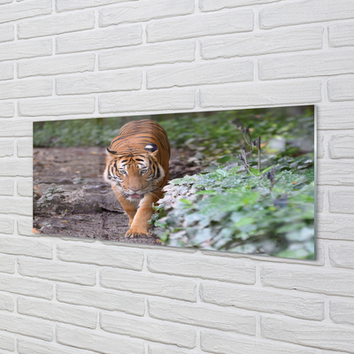 Tableaux sur verre acrylique Tiger woods