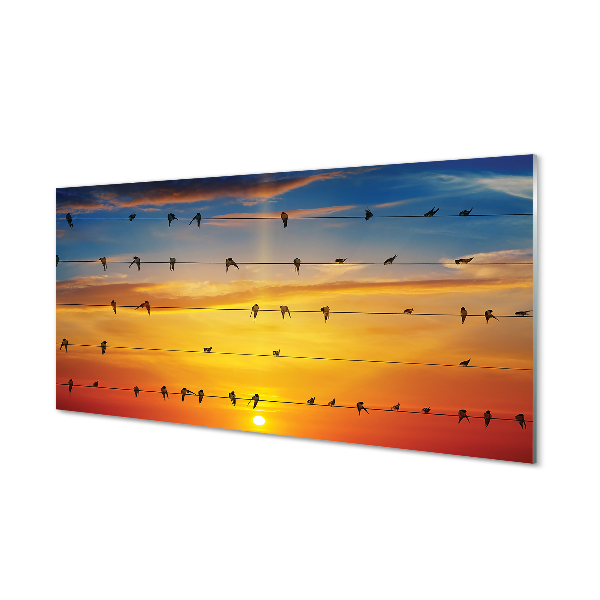 Tableaux sur verre acrylique Oiseaux sur le coucher du soleil cordes