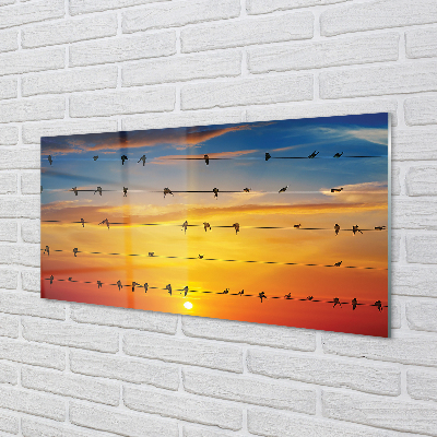 Tableaux sur verre acrylique Oiseaux sur le coucher du soleil cordes