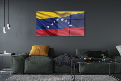 Tableaux sur verre acrylique Drapeau du venezuela