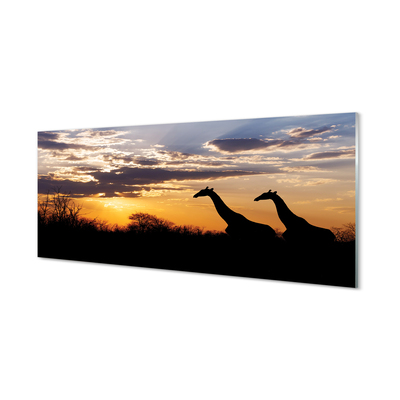 Tableaux sur verre acrylique Nuages ​​arbre girafes