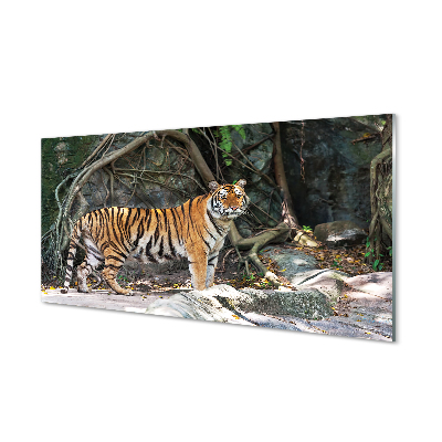 Tableaux sur verre acrylique Jungle tigre
