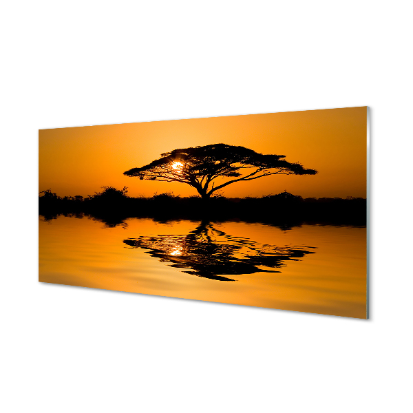 Tableaux sur verre acrylique Arbre coucher du soleil