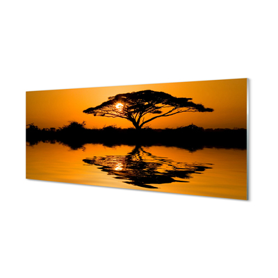 Tableaux sur verre acrylique Arbre coucher du soleil