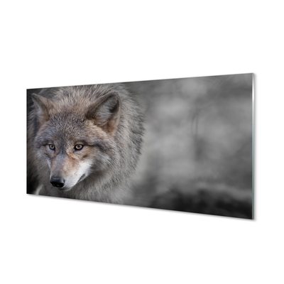 Tableaux sur verre acrylique Loup