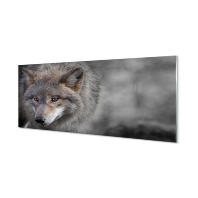 Tableaux sur verre acrylique Loup