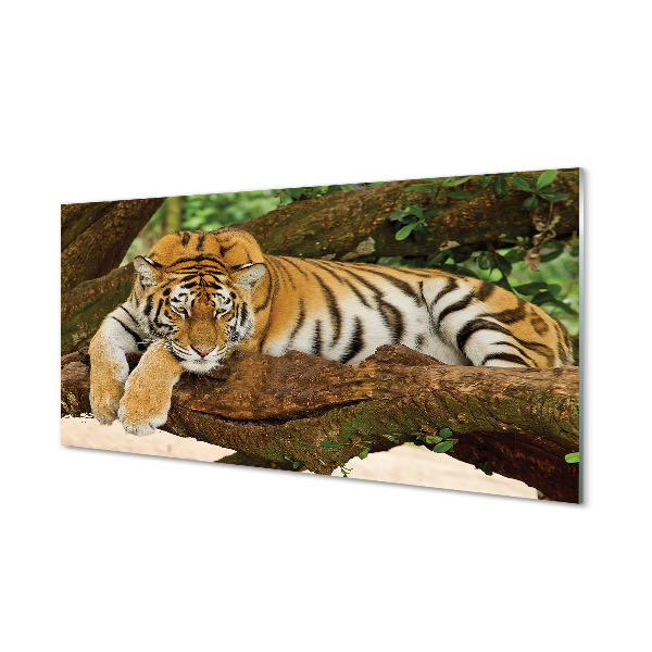 Tableaux sur verre acrylique Arbre tigre