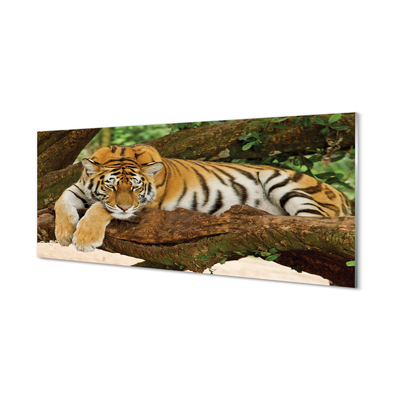 Tableaux sur verre acrylique Arbre tigre