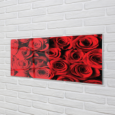 Tableaux sur verre acrylique Des roses