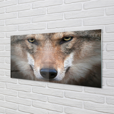 Tableaux sur verre acrylique Yeux de loup