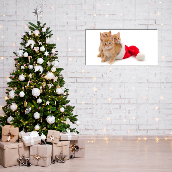 Tableaux sur verre acrylique Chats du Père Noël