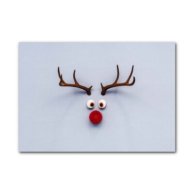Image sur verre acrylique Saint renne Rudolf