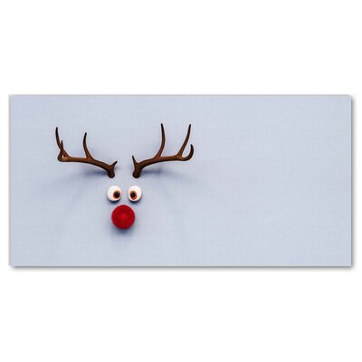Image sur verre acrylique Saint renne Rudolf