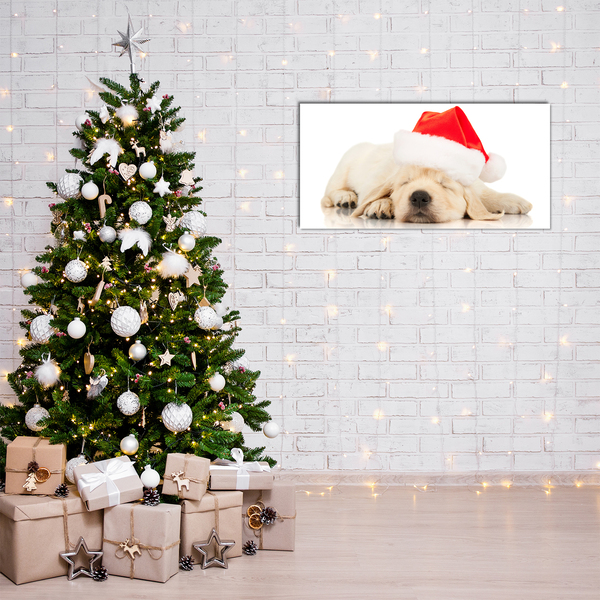 Tableaux sur verre acrylique Chiot Chapeau de Père Noël d'hiver