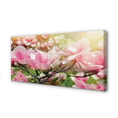 Tableaux sur toile canvas Fleurs