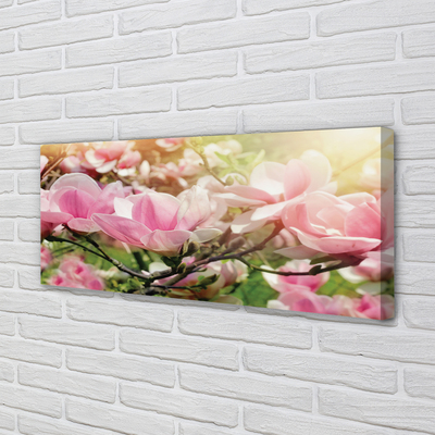 Tableaux sur toile canvas Fleurs