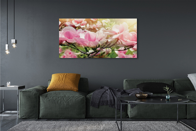 Tableaux sur toile canvas Fleurs