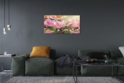 Tableaux sur toile canvas Fleurs