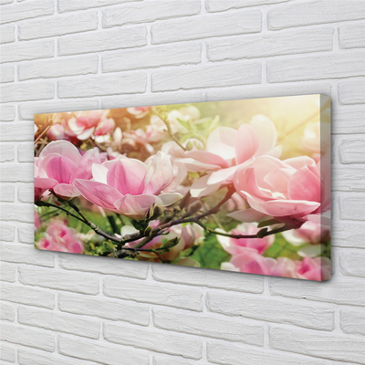 Tableaux sur toile canvas Fleurs