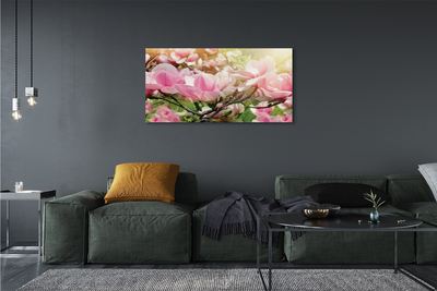 Tableaux sur toile canvas Fleurs