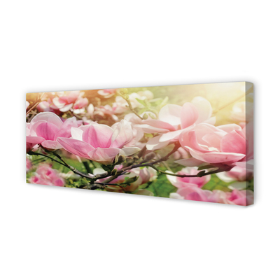 Tableaux sur toile canvas Fleurs