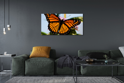 Tableaux sur toile canvas Papillon coloré