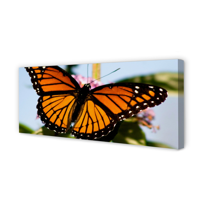 Tableaux sur toile canvas Papillon coloré