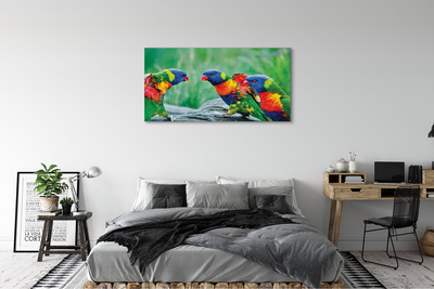 Tableaux sur toile canvas Arbre perroquet coloré