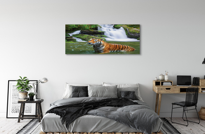 Tableaux sur toile canvas Chute d'eau tigre