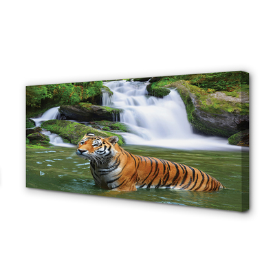 Tableaux sur toile canvas Chute d'eau tigre