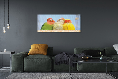 Tableaux sur toile canvas Perroquet coloré