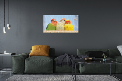 Tableaux sur toile canvas Perroquet coloré
