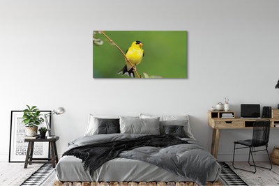 Tableaux sur toile canvas Perroquet jaune