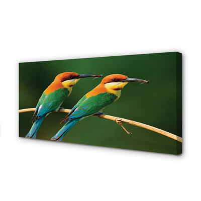 Tableaux sur toile canvas Perroquet coloré sur une branche