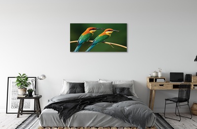 Tableaux sur toile canvas Perroquet coloré sur une branche