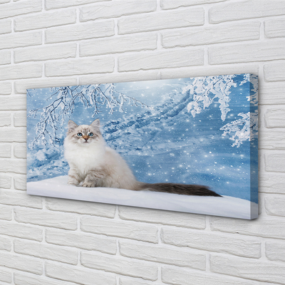 Tableaux sur toile canvas Hiver chat