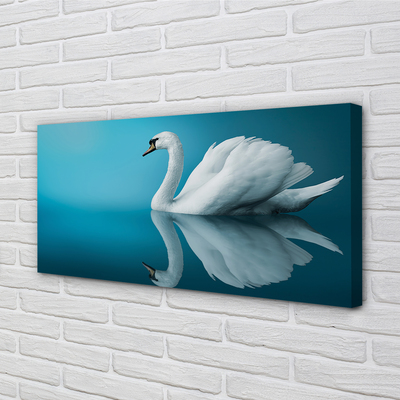 Tableaux sur toile canvas Swan dans l'eau