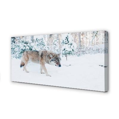 Tableaux sur toile canvas Loup forêt d'hiver