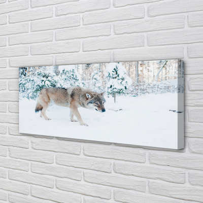 Tableaux sur toile canvas Loup forêt d'hiver