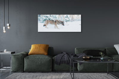 Tableaux sur toile canvas Loup forêt d'hiver