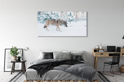 Tableaux sur toile canvas Loup forêt d'hiver