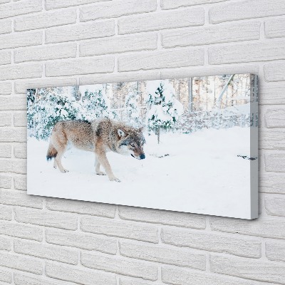 Tableaux sur toile canvas Loup forêt d'hiver