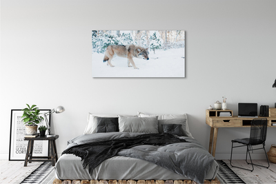 Tableaux sur toile canvas Loup forêt d'hiver