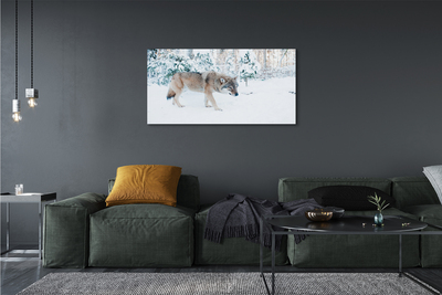 Tableaux sur toile canvas Loup forêt d'hiver